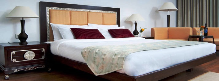 334/Citrus Manali Resort - Manali 013.jpg